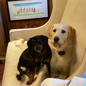 Meet your Posher, Rob